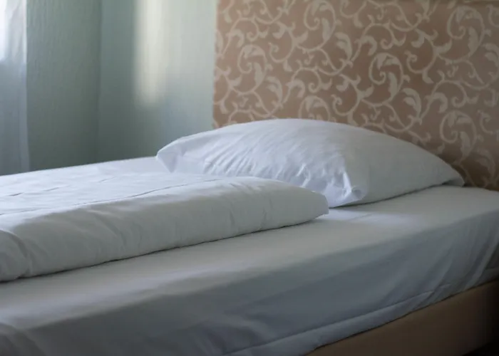 Hasselberg 호텔 2*